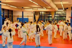 IMG_20231214_205347_391